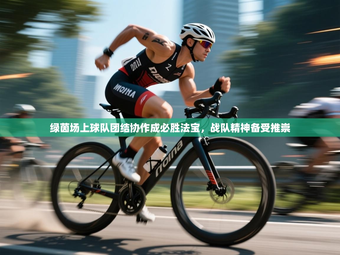 绿茵场上球队团结协作成必胜法宝，战队精神备受推崇  第2张