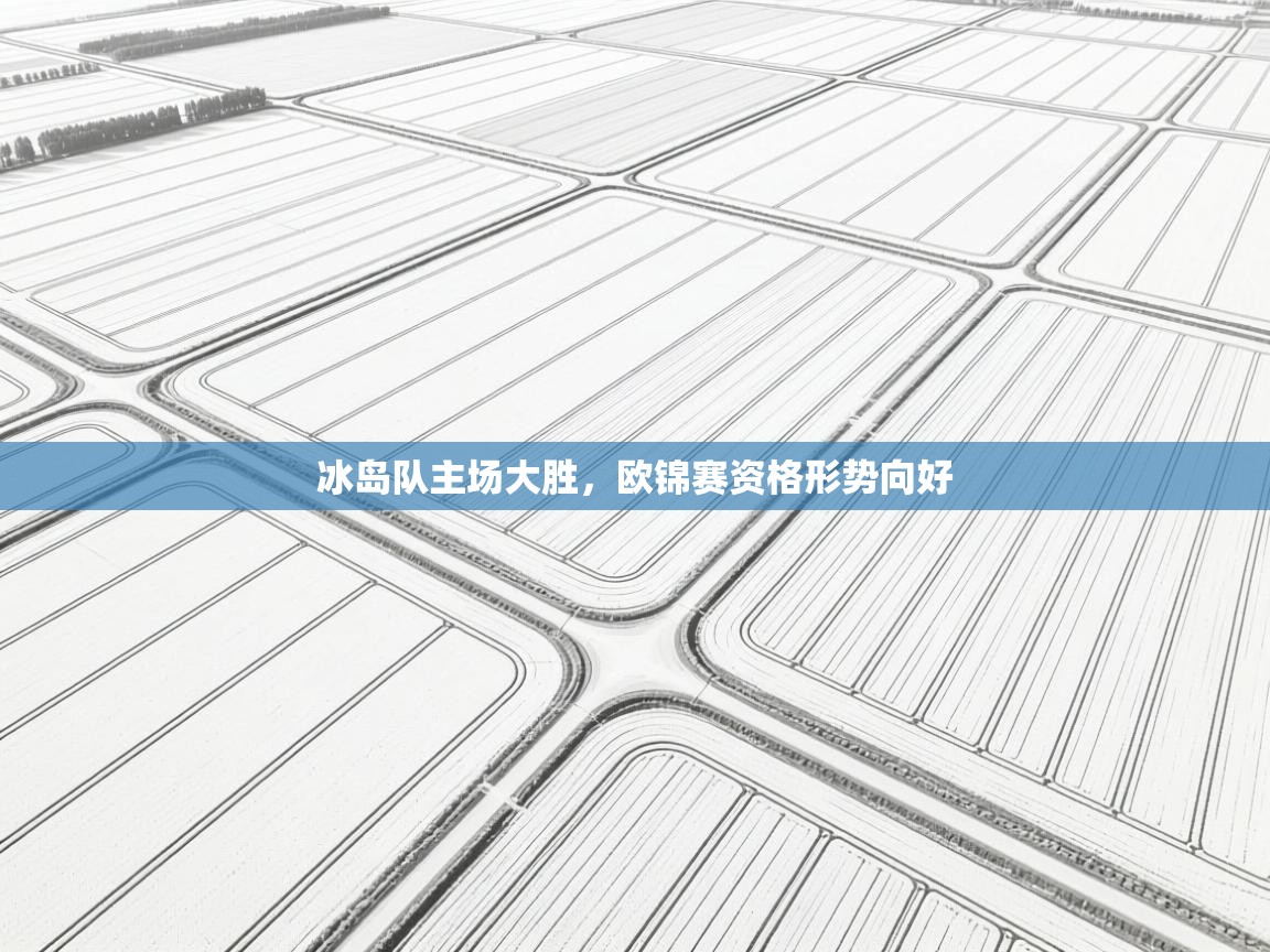 冰岛队主场大胜，欧锦赛资格形势向好  第2张